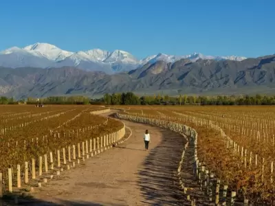 turismo_vino_mendoza_montan?a