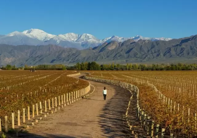 turismo_vino_mendoza_montan?a