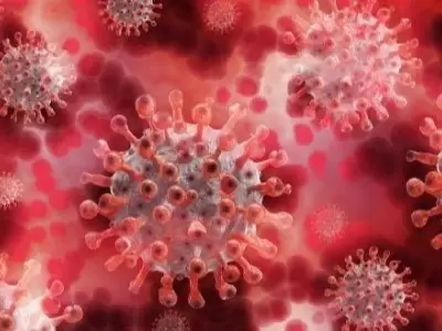 coronavirus-covid