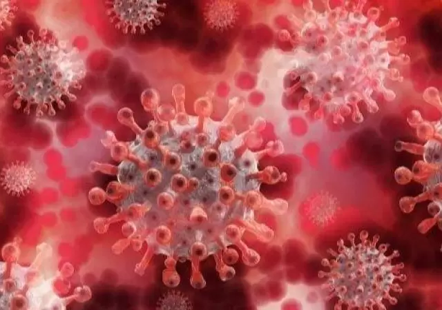 coronavirus-covid