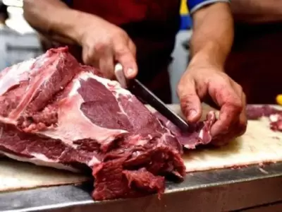 CArne-suba_1607364635
