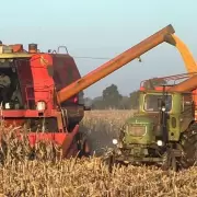 Campo y plan Milei: la inversión agrícola se estanca, pero la confianza se recupera para 2026