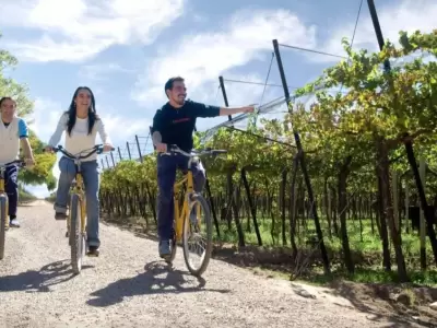 turismo_vino_enoturismo