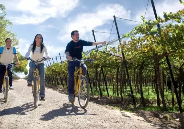 turismo_vino_enoturismo