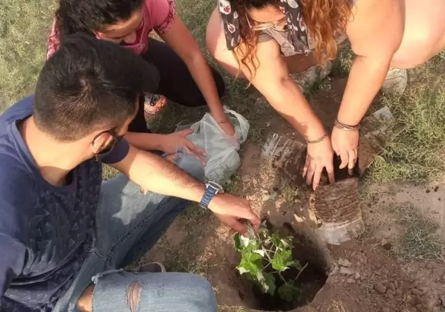 a?rbol_plantacio?n_5