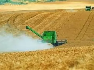 agropec