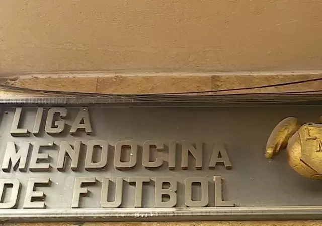 Liga-Mendocina