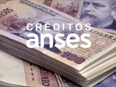 crditos-anses-auh-suaf-2021