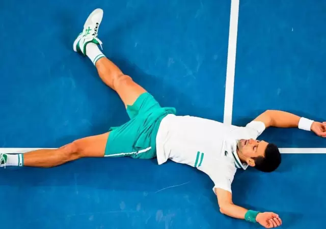 novak--