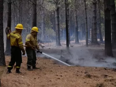 chubut_incendios