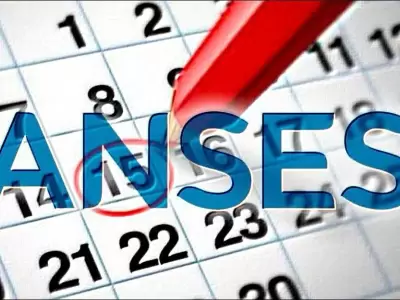 anses-escolaridad-auh-2021