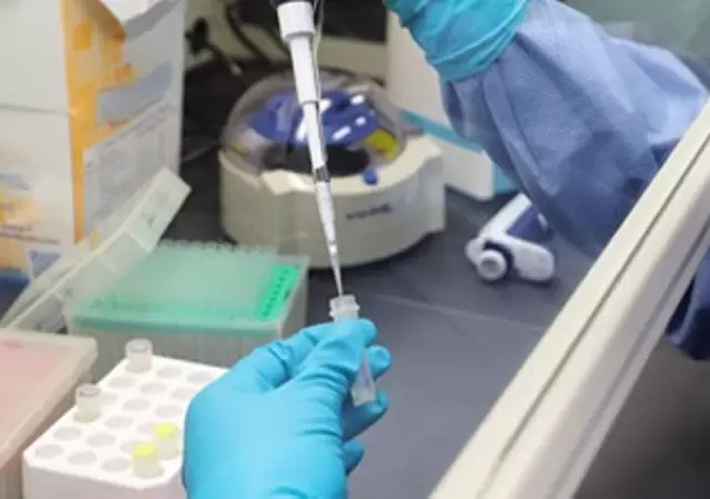 coronavirus-mendoza