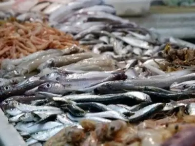 Pescado