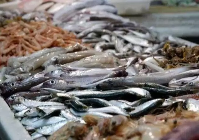 Pescado
