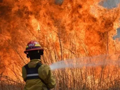 alberto_incendios