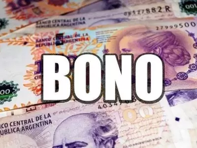 bono-15-mil-anses-fecha-de-cobro