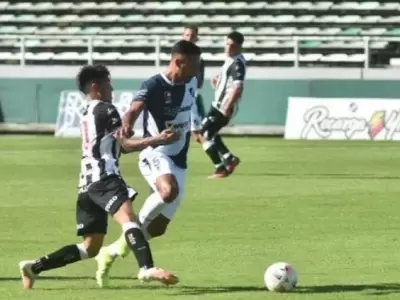 lobo