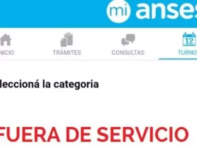 App-ANSES-Fuera-De-Servicio