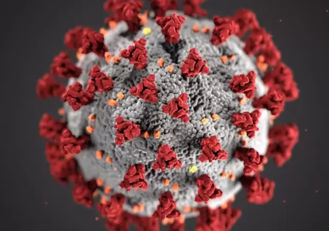 cepa-coronavirus-manaos-argentina