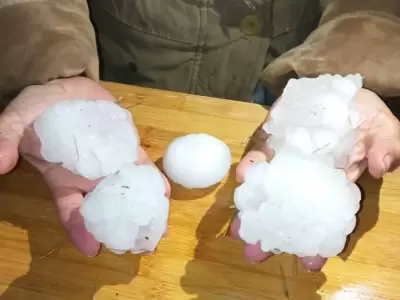 granizoo