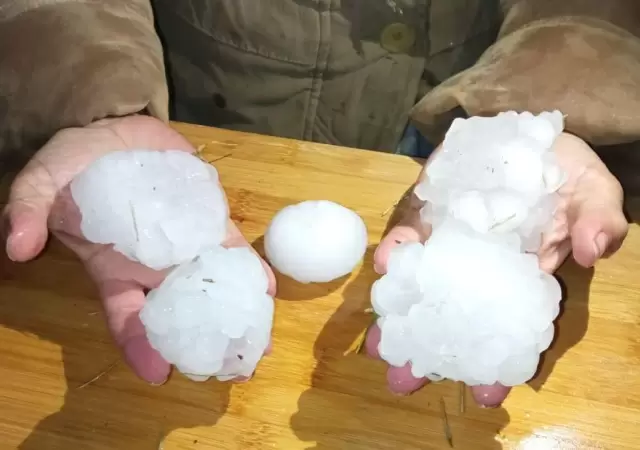 granizoo