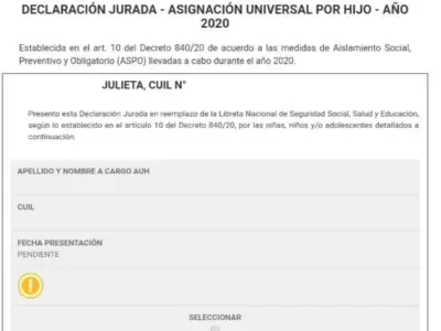 Declaracin-Jurada-ANSES-2