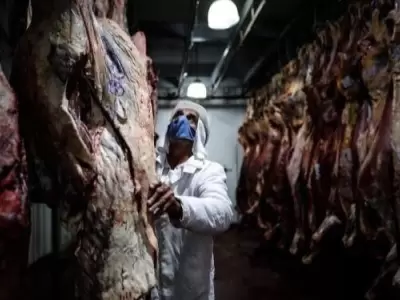cons-ccarne