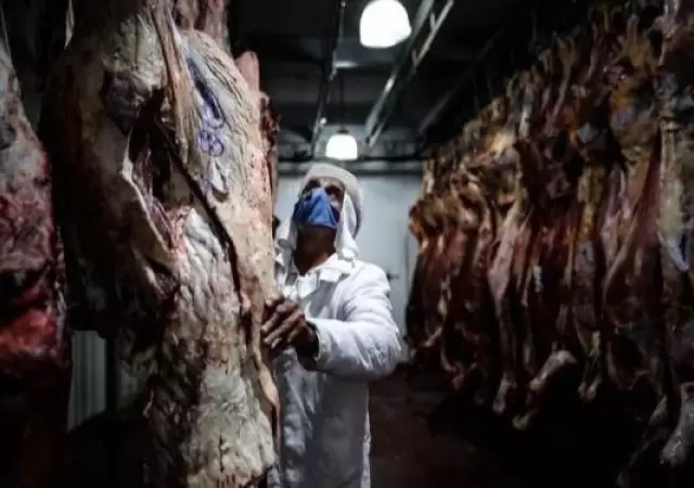 cons-ccarne