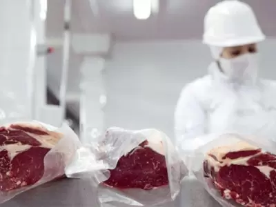 exportaciones_carnes_argentiba