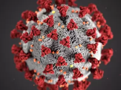 cepa-coronavirus-manaos-argentina