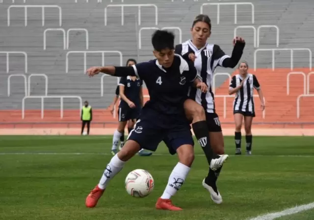 Las-pumas--gimnasia
