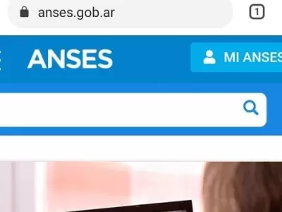 P�gina-ANSES