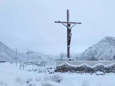 NIeve--Manzano-valle-de-uco