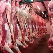 El novillo argentino ya es el m�s caro del Mercosur