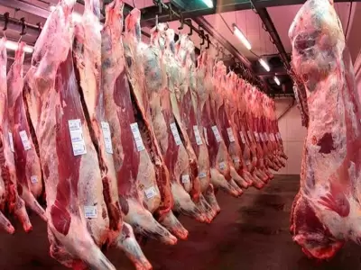 Por los altos precios, Argentina pierde competitividad en el mercado de la carne en el exterior.