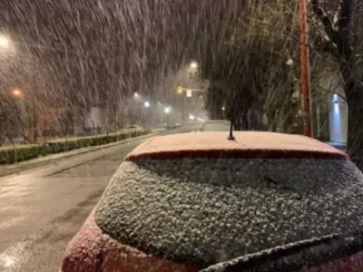nieve3