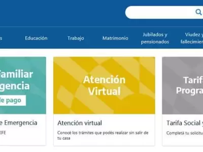 Mi-ANSES