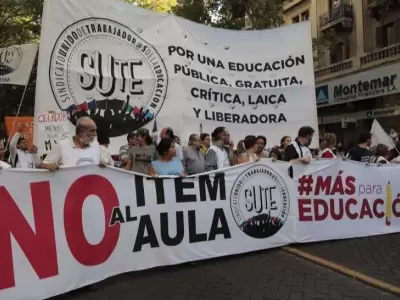 sute