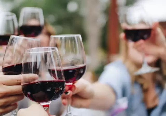 brindis-vino-tinto