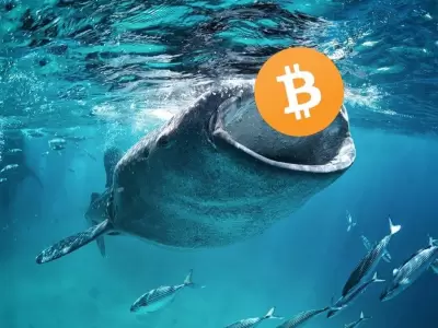 ballenas-Bitcoin_1