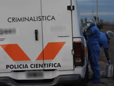 Cient�fica