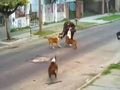 perros-pitbull-ataque-argentina-video-fotos-mujer