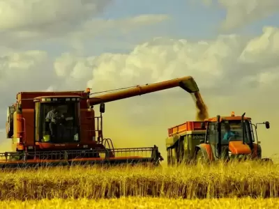 campo-argentino-4-2