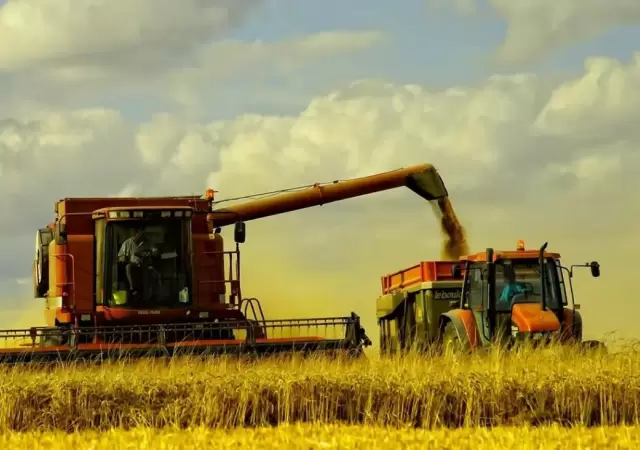 campo-argentino-4-2