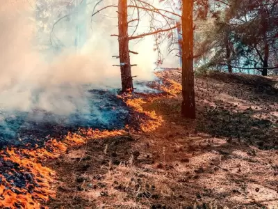 incendioportada