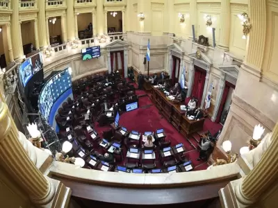 senado