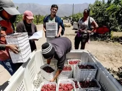 Cerezas