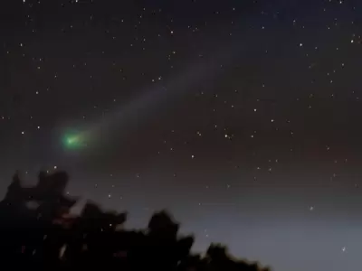 cometa-tierra