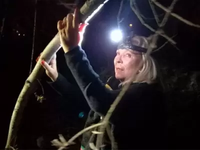 elisa-carrio-en-campanajpg