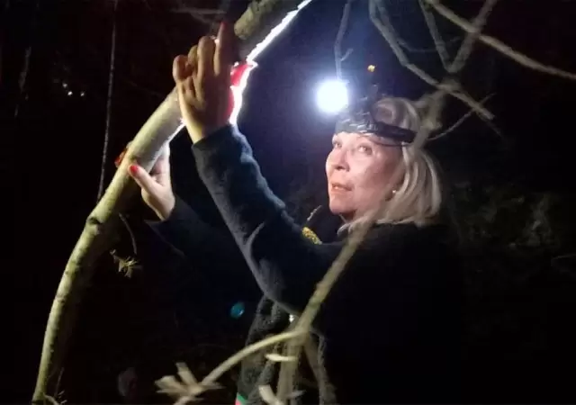 elisa-carrio-en-campanajpg